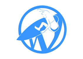 LOGO SIMPLE BLEU BD